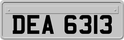 DEA6313