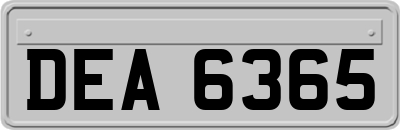 DEA6365