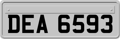 DEA6593