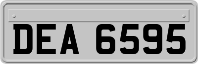 DEA6595