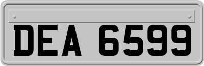 DEA6599