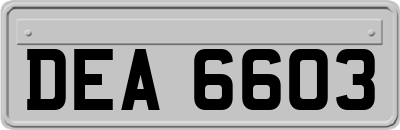 DEA6603
