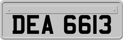 DEA6613