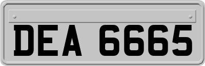 DEA6665