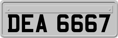 DEA6667