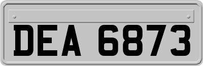 DEA6873