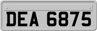 DEA6875