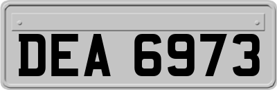 DEA6973