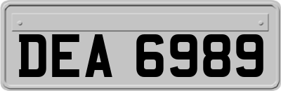DEA6989