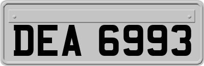 DEA6993