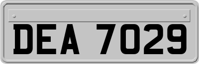 DEA7029