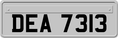 DEA7313