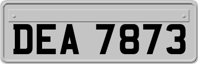 DEA7873