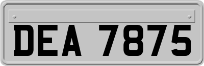 DEA7875