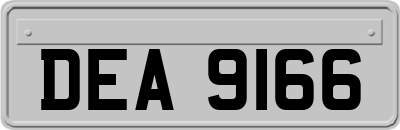 DEA9166