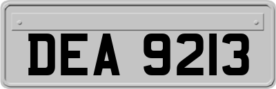DEA9213