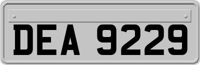 DEA9229