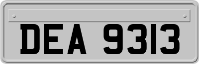 DEA9313
