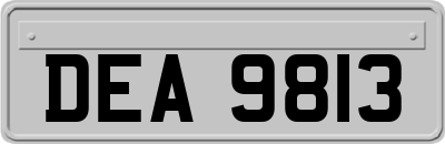 DEA9813