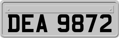 DEA9872