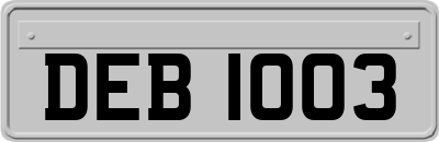 DEB1003