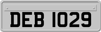 DEB1029