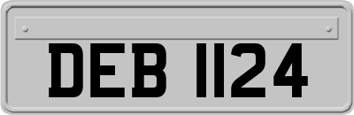 DEB1124