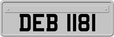 DEB1181