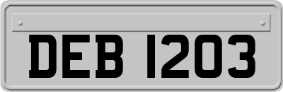 DEB1203