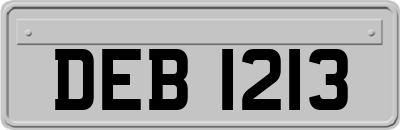 DEB1213