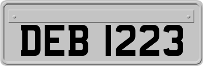 DEB1223