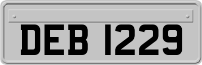DEB1229