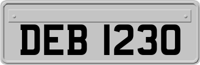 DEB1230