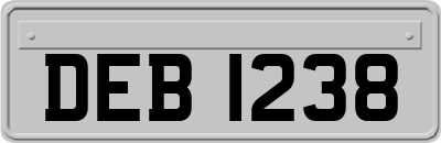 DEB1238