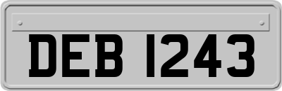 DEB1243