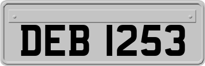 DEB1253