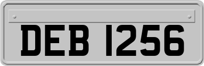 DEB1256
