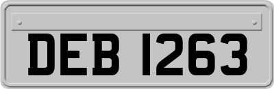 DEB1263