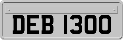 DEB1300