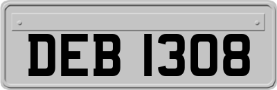 DEB1308