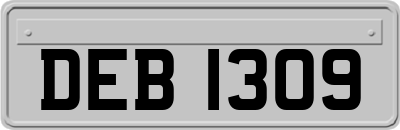DEB1309