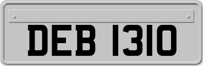DEB1310