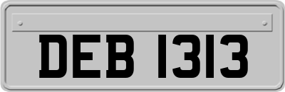 DEB1313