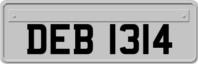 DEB1314