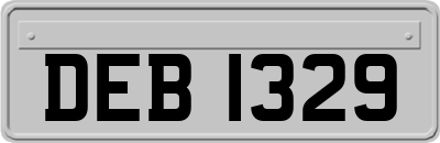 DEB1329