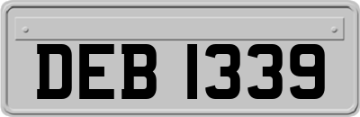 DEB1339