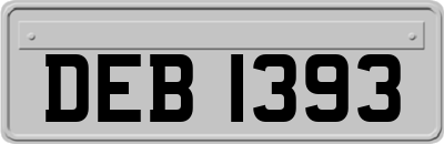 DEB1393
