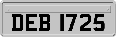 DEB1725