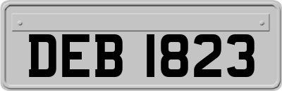 DEB1823