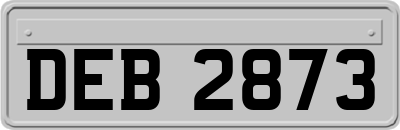 DEB2873